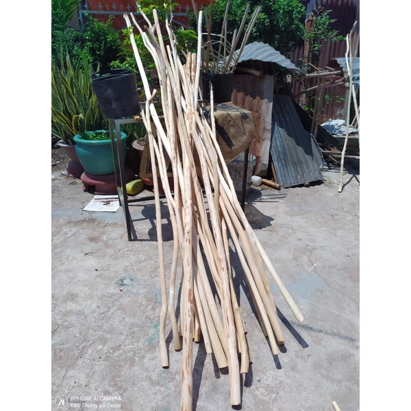 Nhánh Cây khô tự nhiên làm Macramé