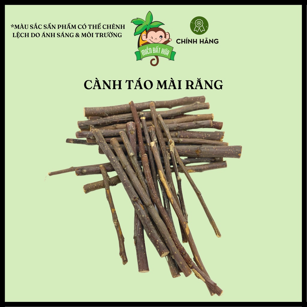 Vật dụng hamster - Cành táo mài răng dành cho hamster, thỏ, bọ, sóc bắc mỹ, đuôi mập,...