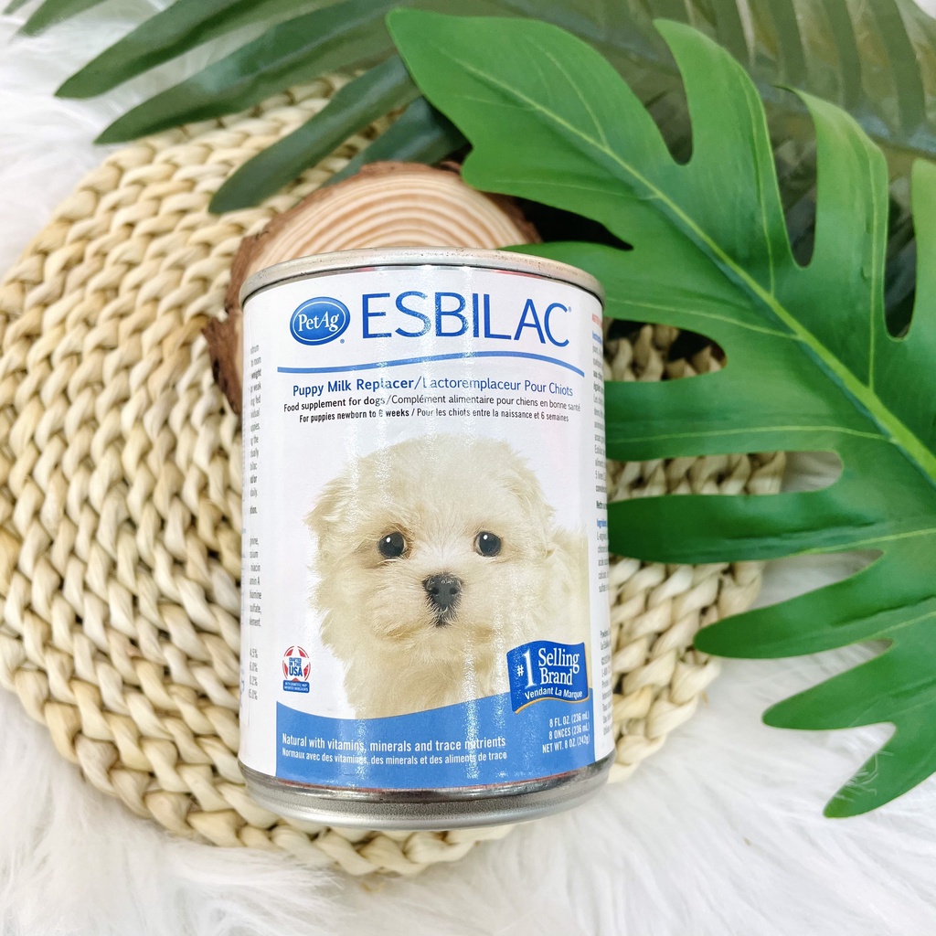 PetAg Sữa bột Esbilac cho chó sơ sinh 340gr