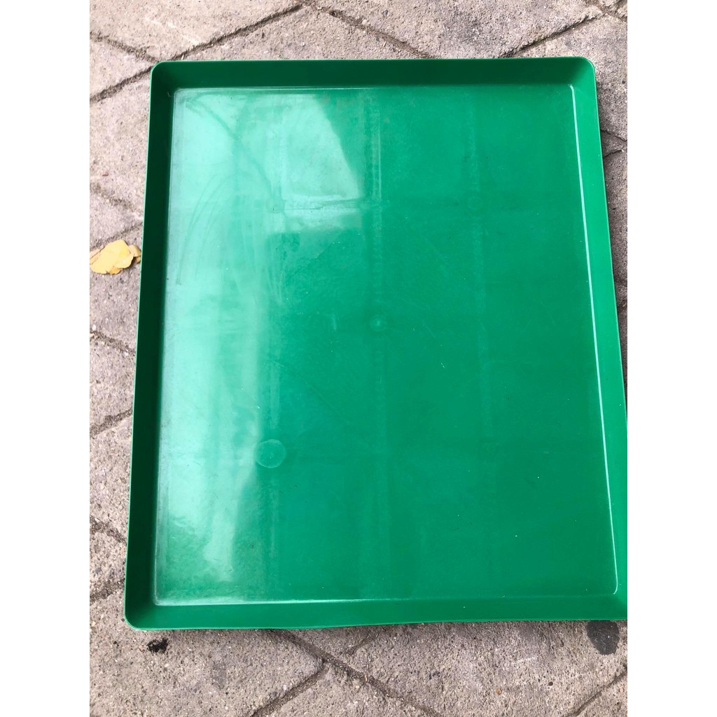 Máng PHÂN CHO CHIM 50X60 - KHAY PHÂN CHO CHIM 50X60