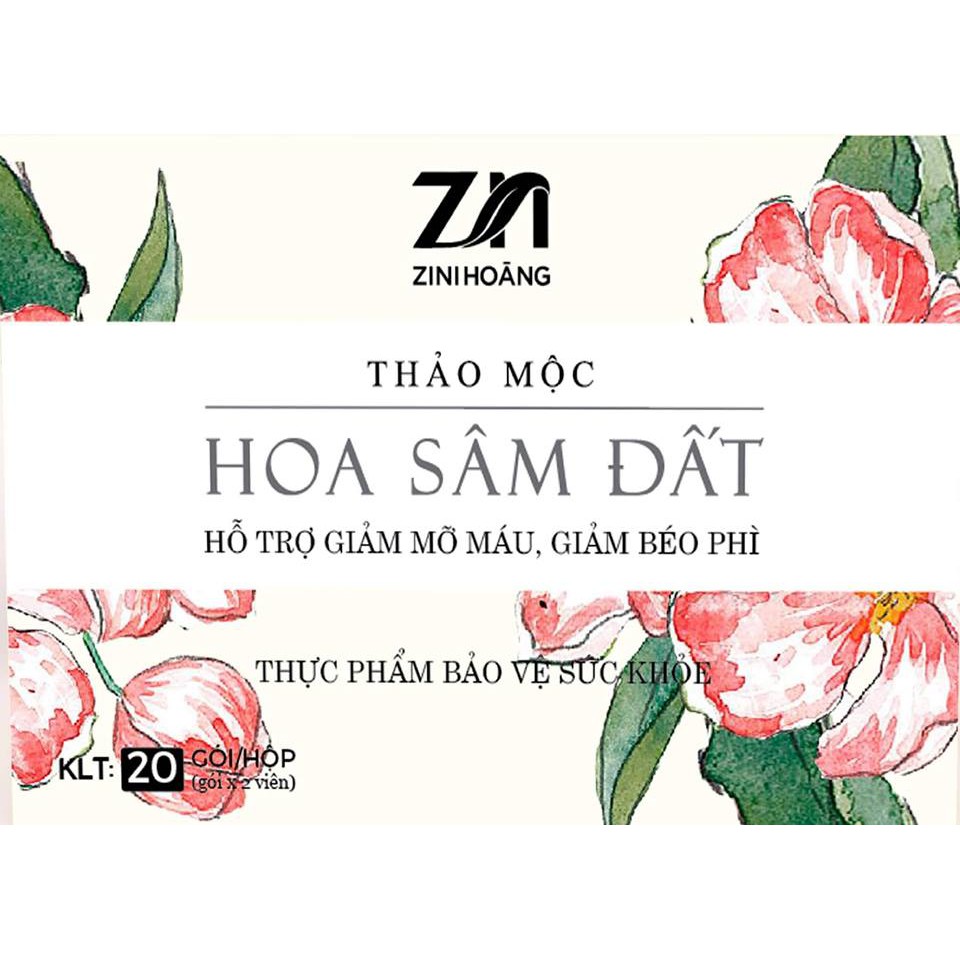 ✅ Trà Giảm Cân Hoa Sâm Đất Zn thường CHÍNH HÃNG