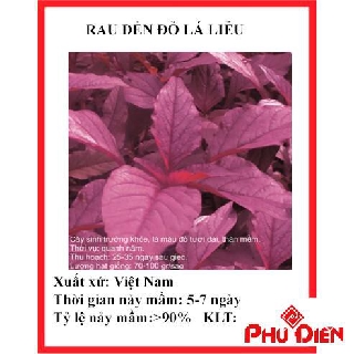 10 gram hạt giống rau dền đỏ lá liễu ( rau dền đỏ lá dài)  PHÚ ĐIỀN