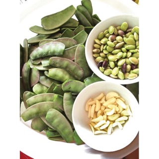 Hạt giống đậu ván xanh / đậu ván đỏ (5H) ☘️