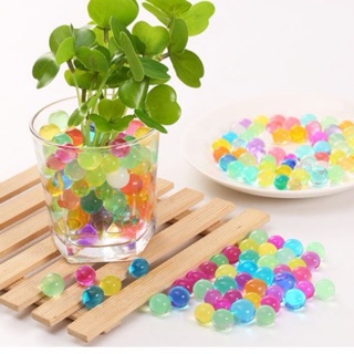 Hạt nở tinh thể trồng cây đa màu sắc