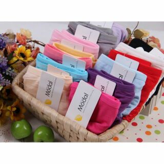Combo 10 quần lót cotton Pulo