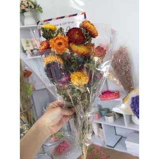 BÓ HOA BẤT TỬ KHÔ ĐẸP