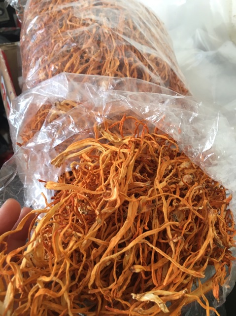 Combo 1 kg hoa đông trùng hạ thảo khô sấy lạnh | BigBuy360 - bigbuy360.vn