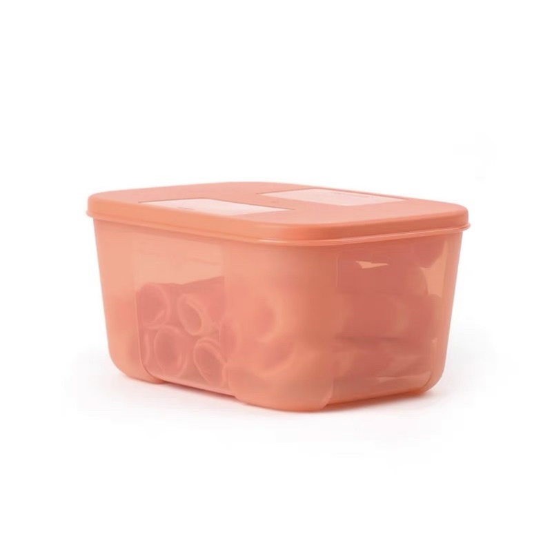 Set Hộp Trữ Đông Màu Cam Đào 700Ml Siêu Xinh - Đựng Thịt Cá Đồ Ăn Dặm Cho Bé - Bảo Quản Thực Phẩm Tươi Ngon