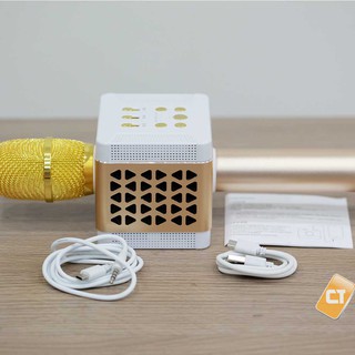 Micro karaoke kèm loa Bluetooth Tosing 016 20w