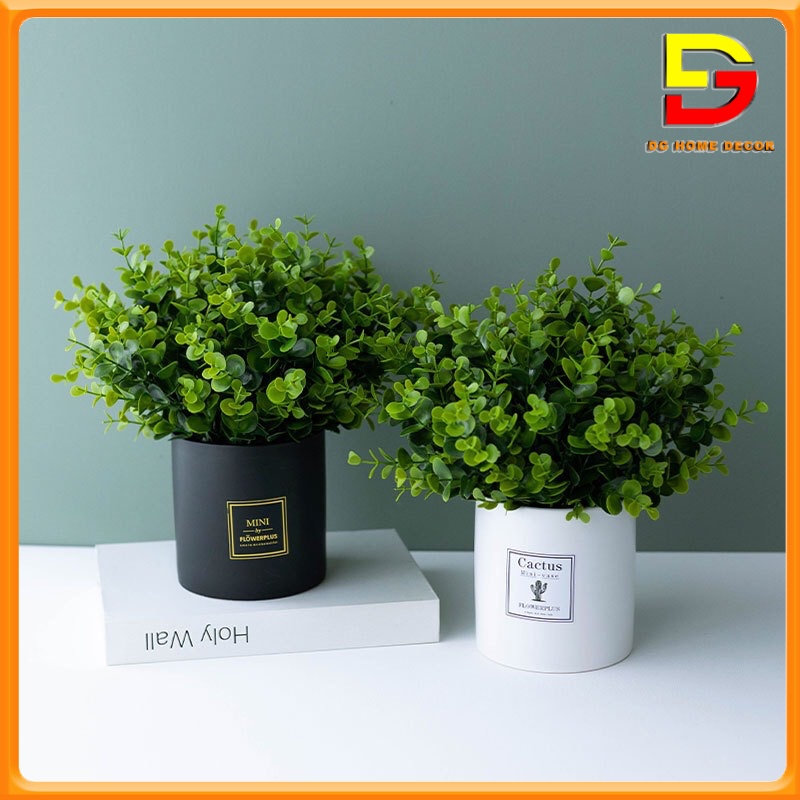 Chậu Cây Kim Tiền Xanh Cây Giả Decor Để Bàn Làm Việc Trang Trí Nhà Cửa Cao 35cm DG-61