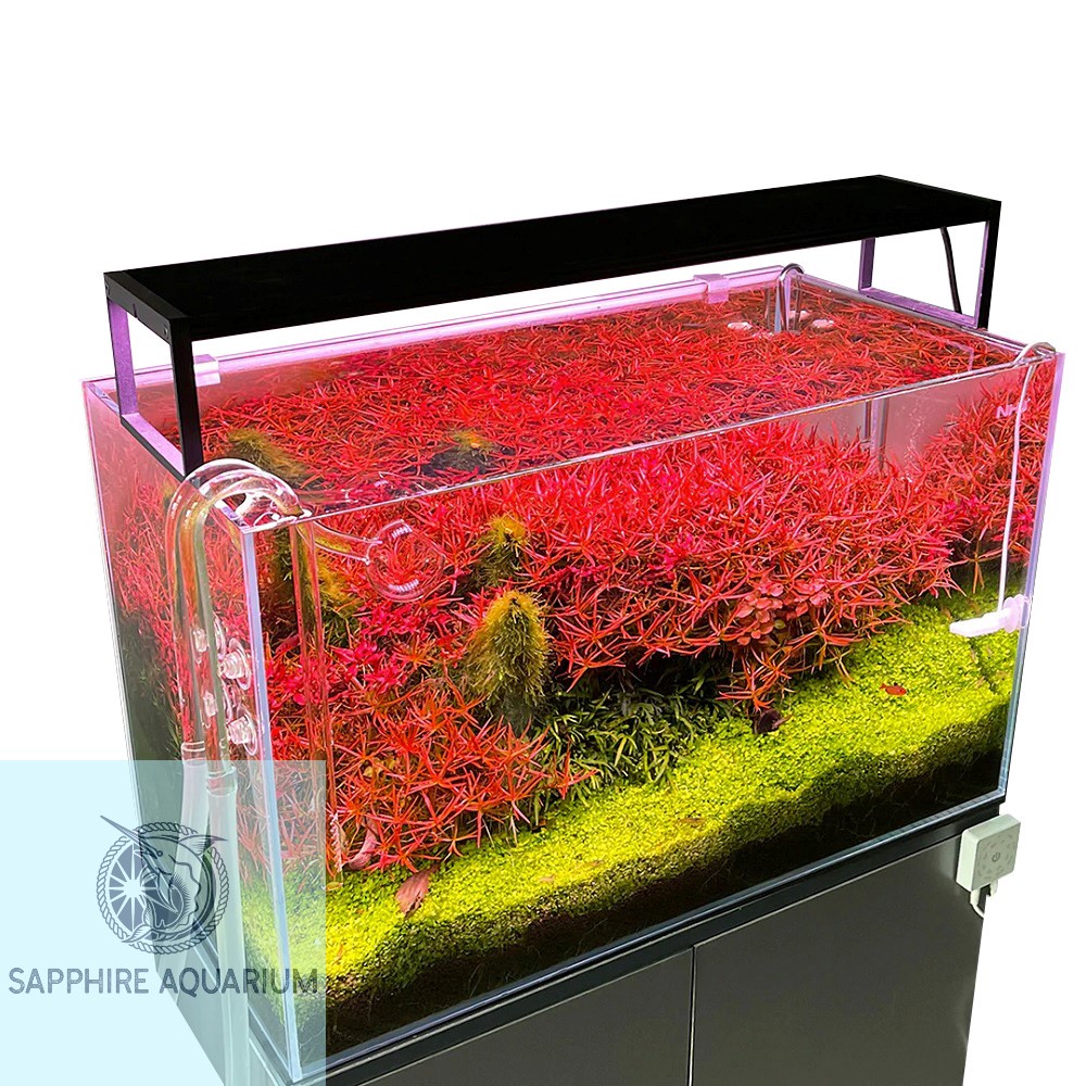Đèn bể cá Chihiros WRGB 2 Slim 30cm 45cm 60cm