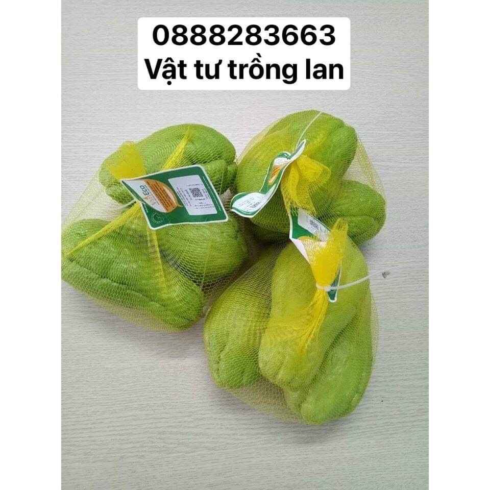 [ SIÊU RẺ ] 1Kg Túi Lưới Bọc Hoa Quả, Bọc Trái Cây,Bưởi, Hành, Tỏi,Đồ Chơi Các Loại, Bọc Chậu Lan Các Loại....