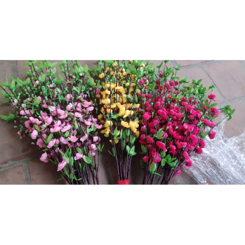 Combo 100 cành hoa đào hạt