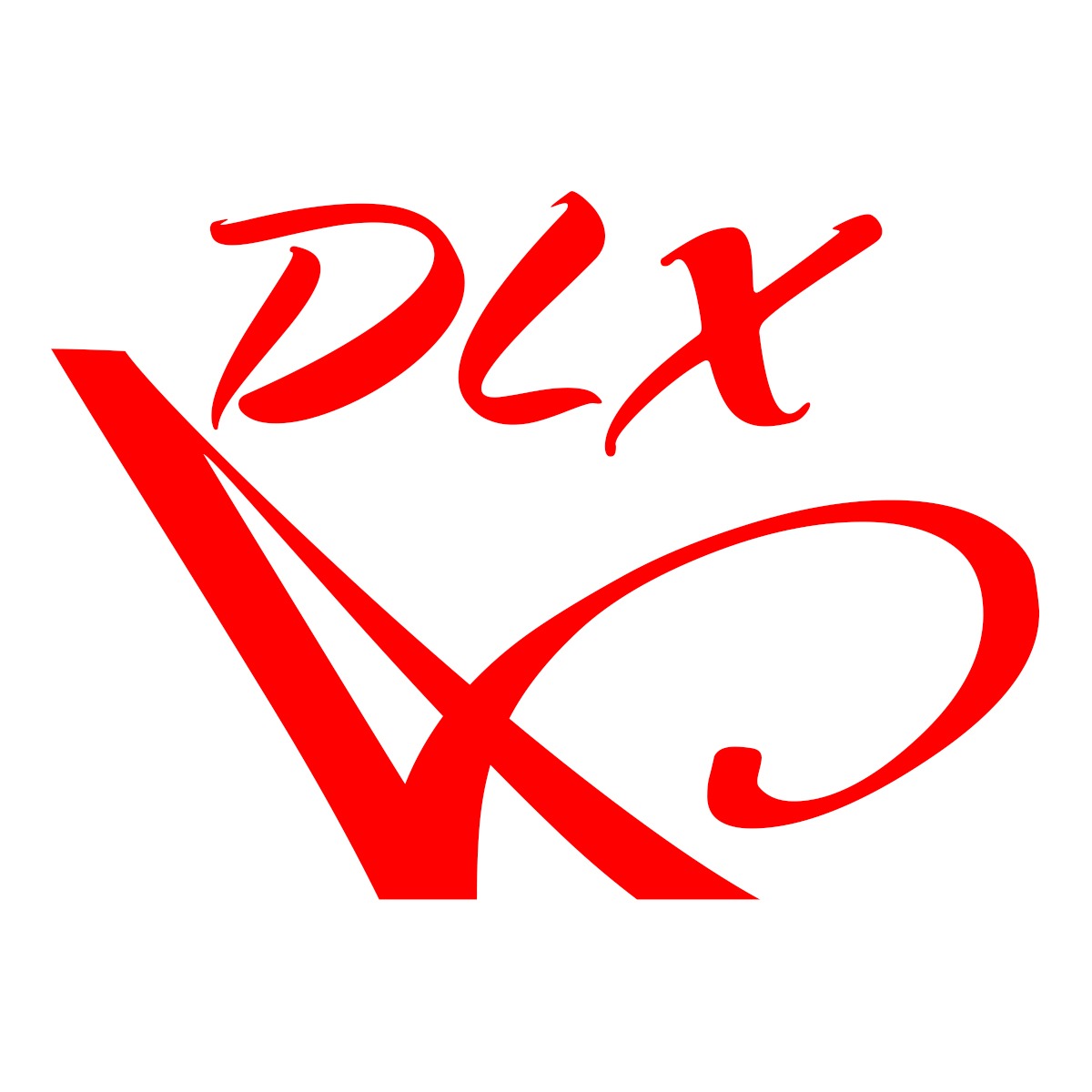 Áo Thun Nữ Shop DLX