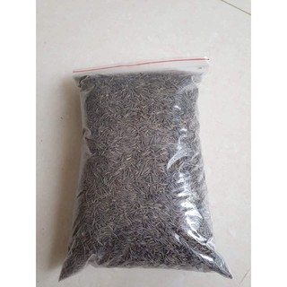 1 kg hạt hoa sao nhái 250k