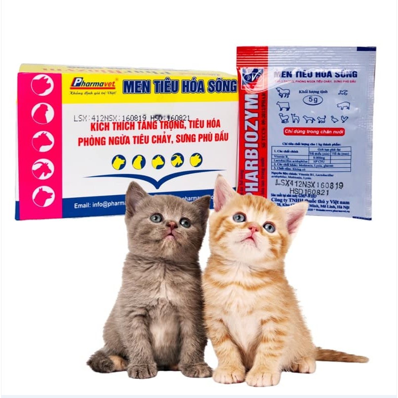Hộp men tiêu hóa sống cho chó mèo 25 gói
