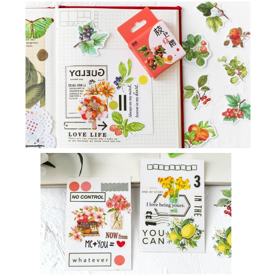 Hộp 50 sticker giấy SH5002 Gachini