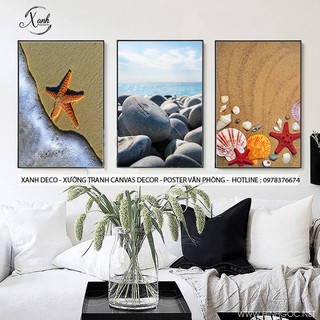 Bộ tranh canvas 3 bức ốc biển, trang trí homstay 50X70CM
