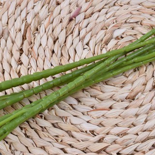 Nhánh Hoa Lan Vũ Nữ, hoa lụa giả hàng nhập cao cấp (Dài 115cm, 7 nhánh)