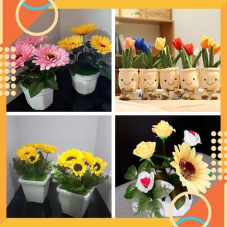 Hàng rào hướng dương, chậu hoa vải bông cúc, mặt trời, tulip mặt cười