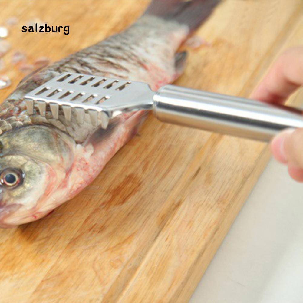Dụng cụ hỗ trợ đánh vẩy cá bằng thép không gỉ chất lượng cao