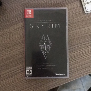 Game Skyrim