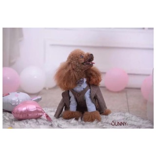 Áo Vest Sang Chảnh (Quần Áo Thú Cưng / Hàng Thiết Kế)