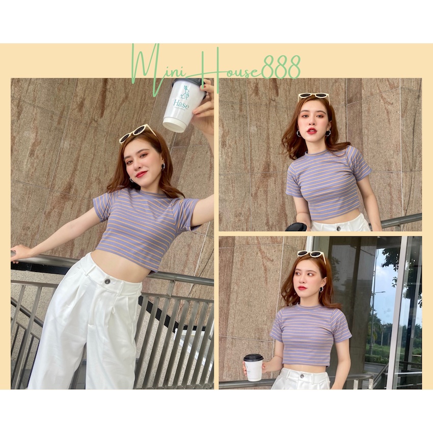 (Ảnh Thật , Sẵn ) Quần Tây Trắng Ống Suông Thanh lịch Phối Áo Croptop xám sọc vàng tay ngắn Freesize Minihouse888