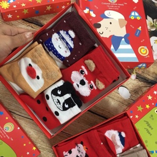 Combo hộp tất Noel và Set 10 đôi tất cho bé