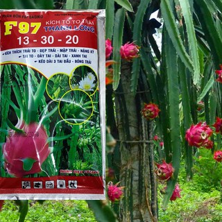 Kích tố to trái Thanh Long F97 - SAGIKO