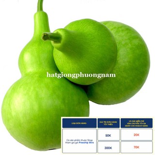 10H - HẠT GIỐNG BẦU HỒ LÔ