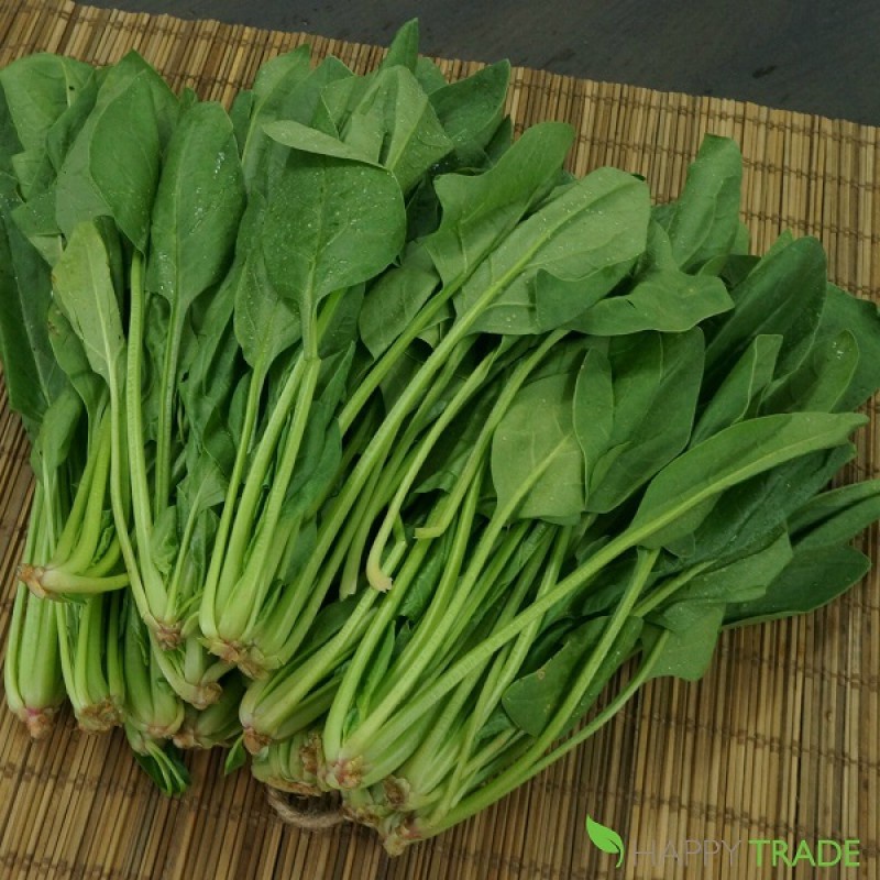 Bán buôn Hạt Giống Rau Chân Vịt (Cải Bó Xôi) (bina) gói 20 gram bao đẹp