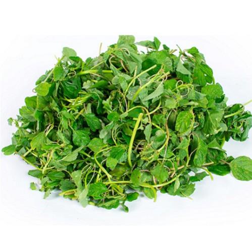 Hạt Giống Rau Dền Cơm - Gói 10 Gram