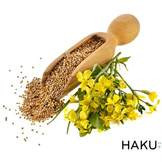 Mù tạt vàng Nga 170g