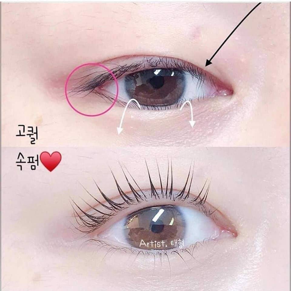 Kẹp Mi Missha Perfect Eyelash Curler