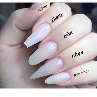 [MẪU TRENDY] NAILBOX MÓNG ÚP THIẾT KẾ