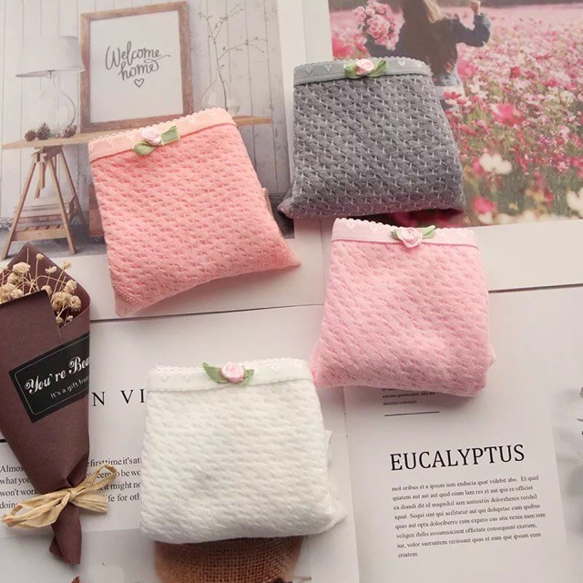 [HOT] Sỉ lố 10 quần lót cotton thông thoáng Q 104