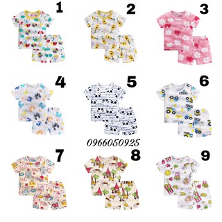 Cotton sợi tre xuất hàn