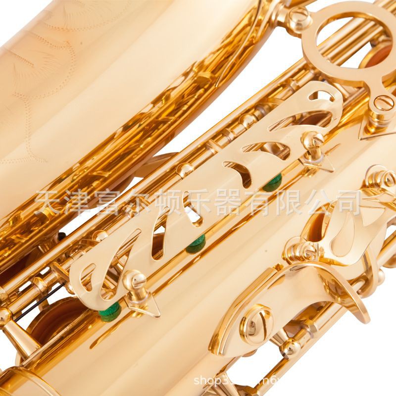 Kèn Saxophone Alto tặng 12 Phụ Kiện như hình - freeship oder