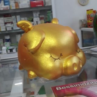 Heo đất thiên thần