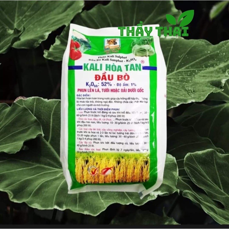 Kali Đầu Bò-Phân bón lá Kali Sulphat Kali hòa tan Đầu Bò-K2SO4 - 1kg Giúp cây ra hoa sớm, chin sớm, màu đẹp