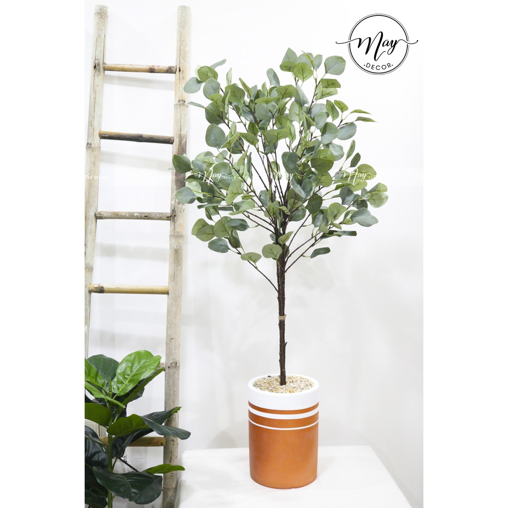 Cây giả, Cây Táo bạc cao 1m