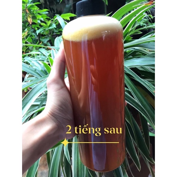 Mật ong ruồi rừng