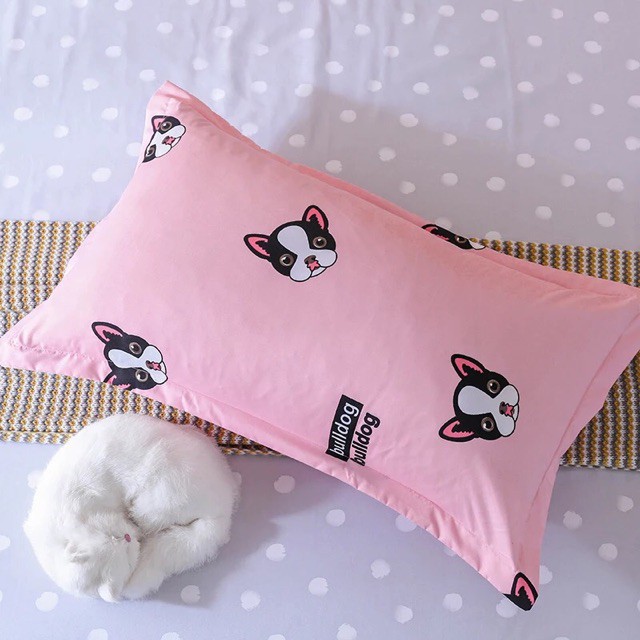 [FREE SHIP] Cotton poly - chó hồng