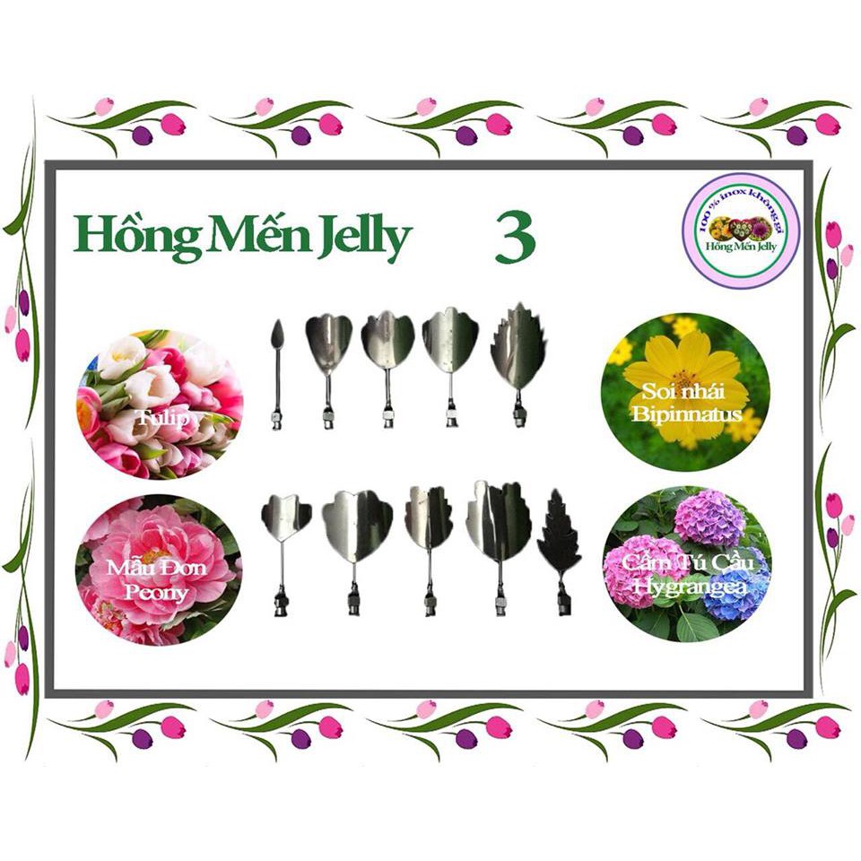 Kim làm thạch rau câu 3D Hoa Tulip, Sao Nhái, Mẫu Đơn, Cẩm Tú Cầu MS 03 (bộ 10 kim)