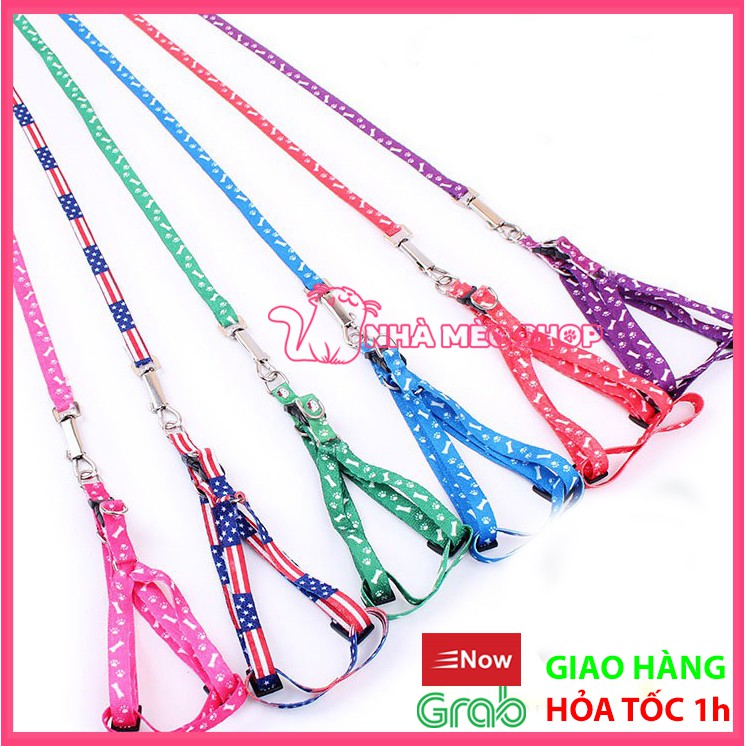 Dây dắt chó mèo đi dạo đủ màu sắc giá rẻ