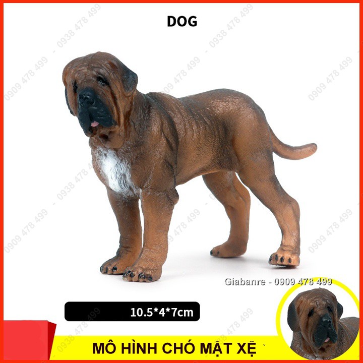 MÔ HÌNH ĐỘNG VẬT - CÁC GIỐNG CHÓ THUẦN - CHÓ MẶT XỆ - 7663.5