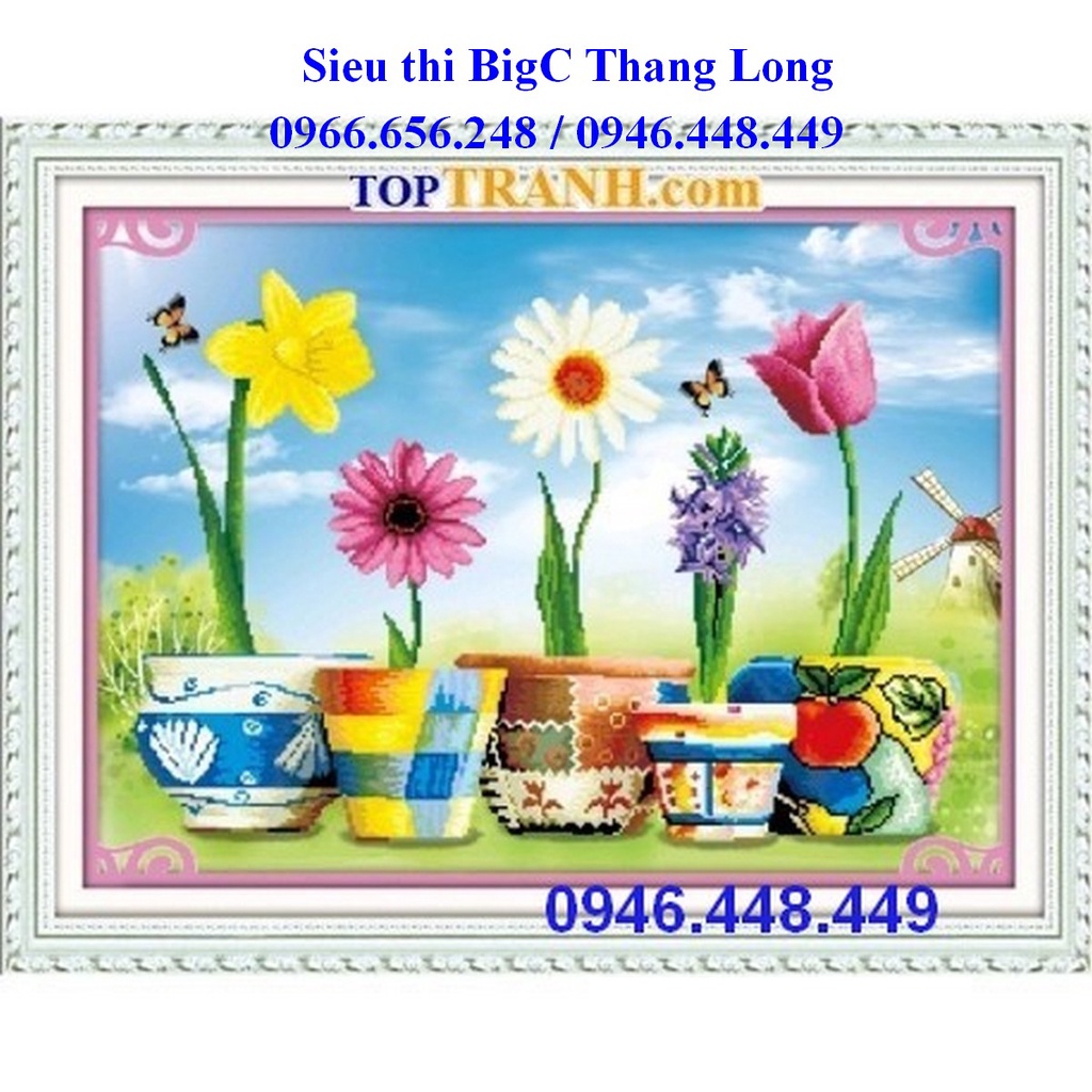 Tranh thêu chữ thập 5 chậu hoa khoe sắc, ngũ sắc nhân sinh 5D494