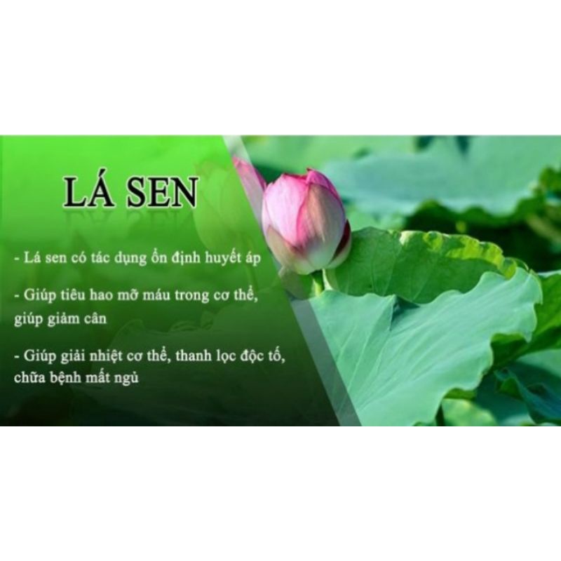 1 Ký Lá Sen Khô Hà Nội Vụ Mới