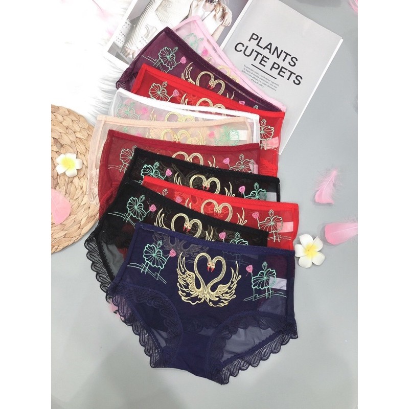 Quần Lót ren cạp Cao uyên ương - Quần lót nữ ren Lưới